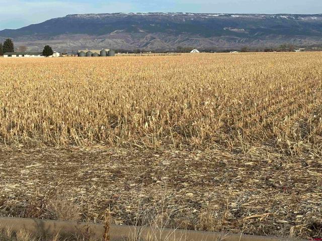 Land for sale in Montrose, Colorado