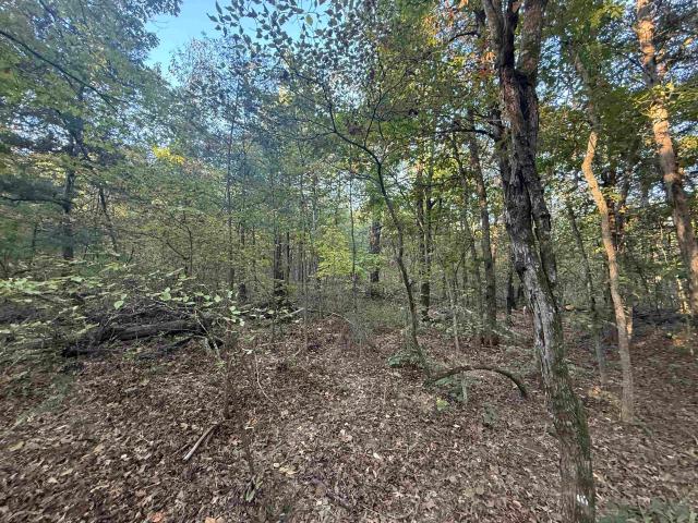 Land for sale in Sharp County, Arkansas