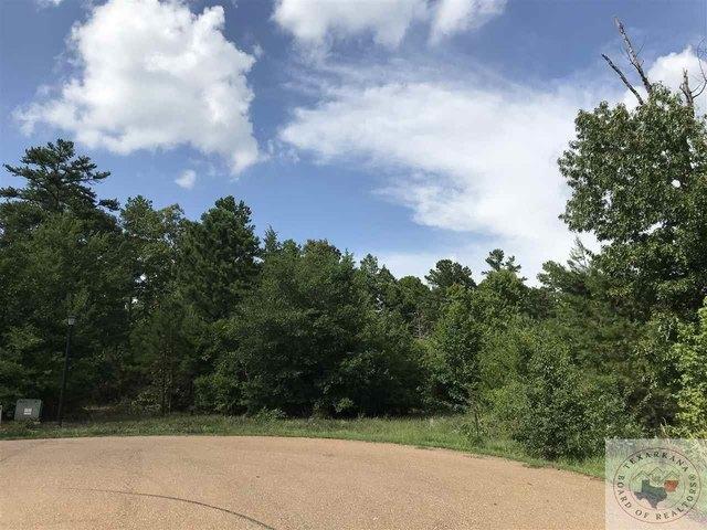 Land for sale in Queen City, Texas