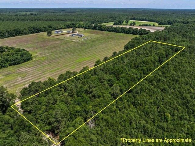 Land for sale in Bamberg, South Carolina
