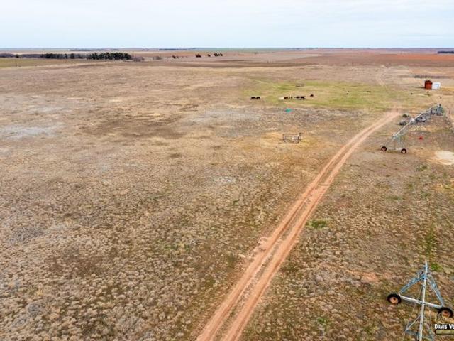 Land for sale in Knox, Texas