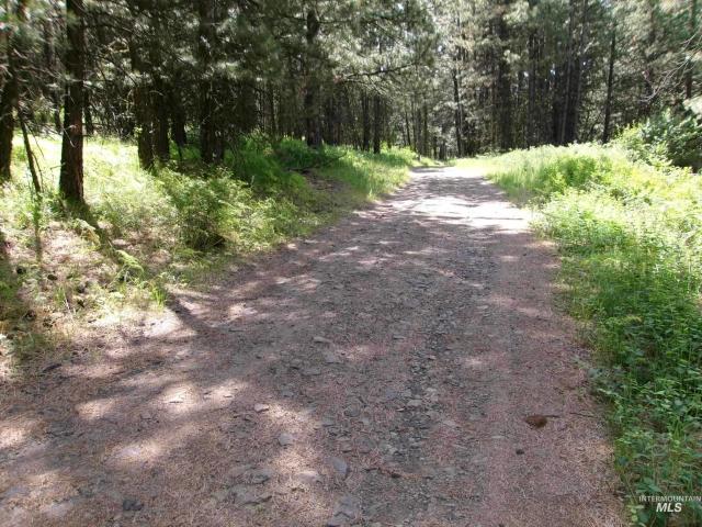Land for sale in Cottonwood, Idaho