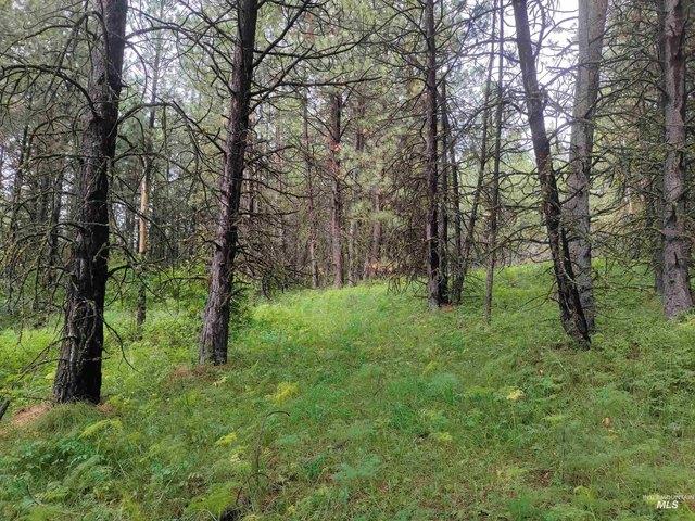 Land for sale in Cottonwood, Idaho