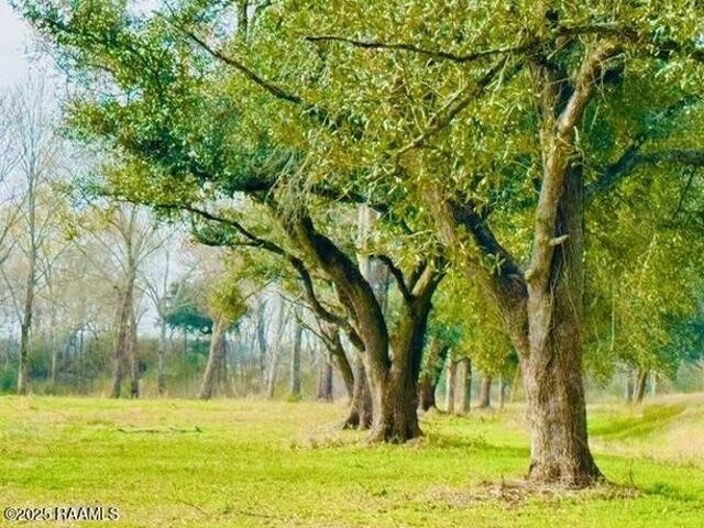 Farm for sale in Iota, Louisiana
