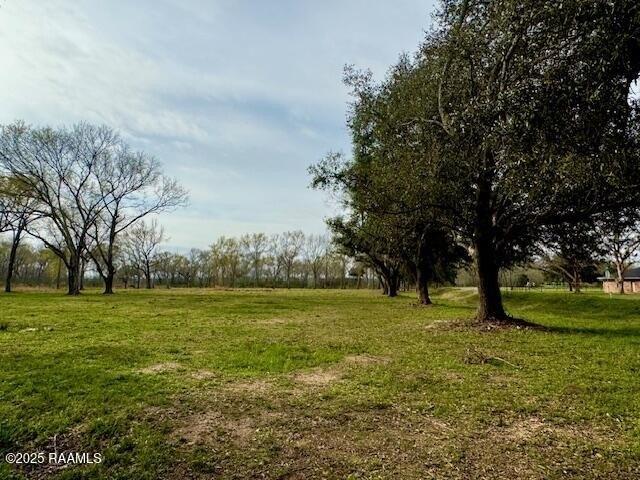 Farm for sale in Iota, Louisiana