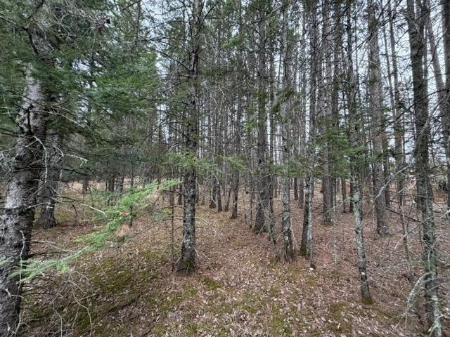 Land for sale in Cook, Minnesota