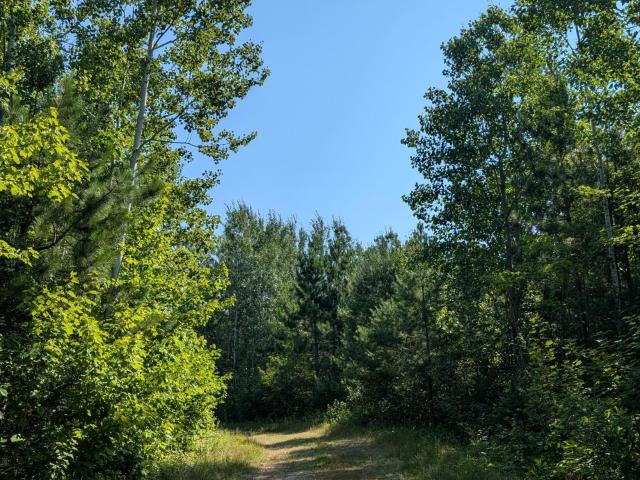 Land for sale in Minnesota