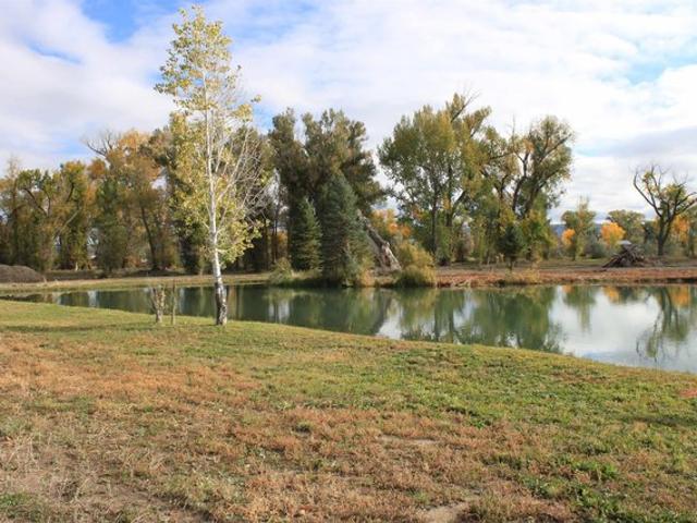 Land for sale in Montrose, Colorado