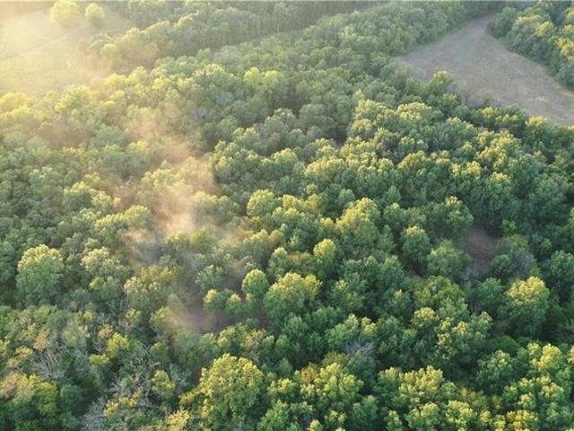 Farm for sale in Knob Noster, Johnson County
