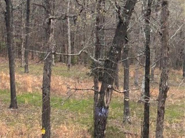 Land for sale in Ark