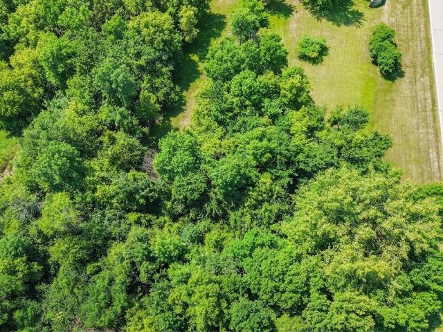 Land for sale in Minnesota