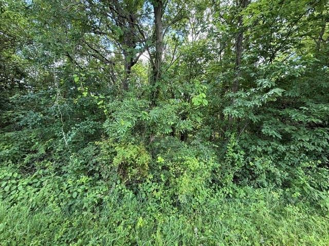 Farm for sale in Turney, Missouri