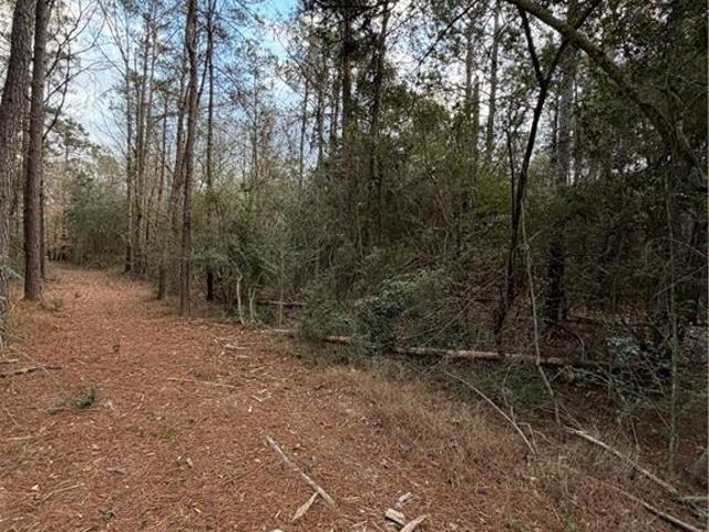 Land for sale in Amite, Louisiana