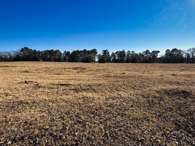 Land for sale in Henderson, Texas