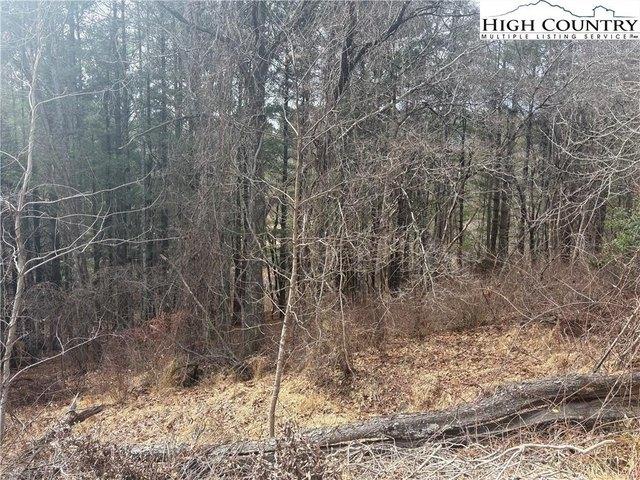 Land for sale in Alleghany, North Carolina