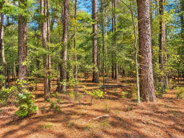 Land for sale in Manfred, Norman