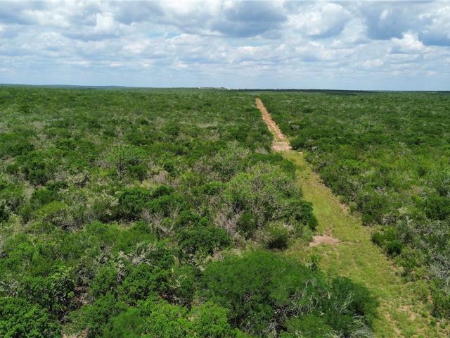 Farm for sale in San Diego, Texas