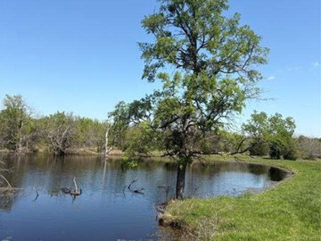 Land for sale in Sulphur Springs, Texas