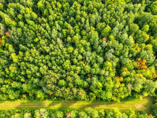 Land for sale in Pequot Lakes, Cass County