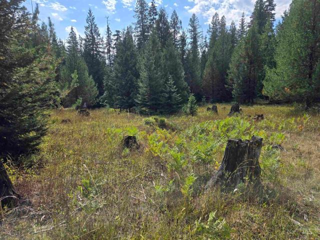 Land for sale in Weippe, Idaho