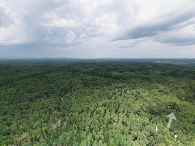 Land for sale in Stannard Township, Ontonagon County