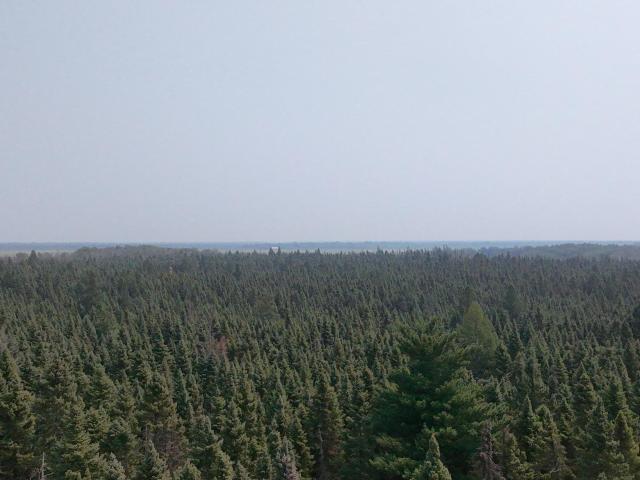 Land for sale in Beltrami, Minnesota