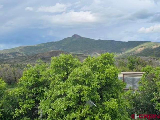 Land for sale in Crawford, Colorado