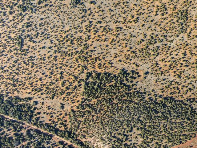 Land for sale in Mountainair, New Mexico
