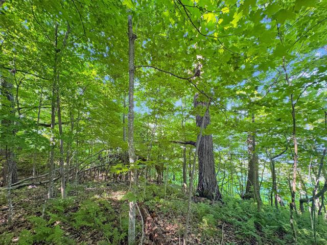 Land for sale in Lewis, Wisconsin