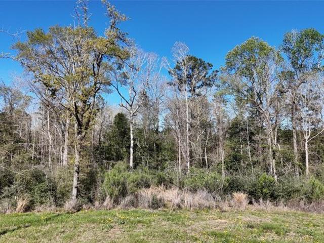 Land for sale in Polk, Texas