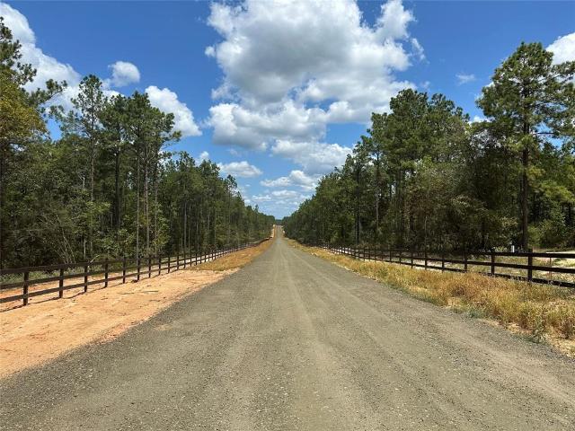 Land for sale in Village Mills, Texas