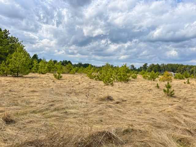Land for sale in Hubbard, Minnesota