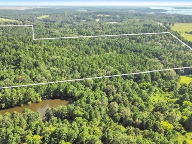 Land for sale in Panola, Texas