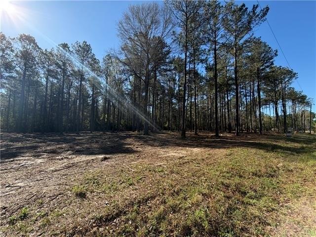 Land for sale in Glenmora, Louisiana