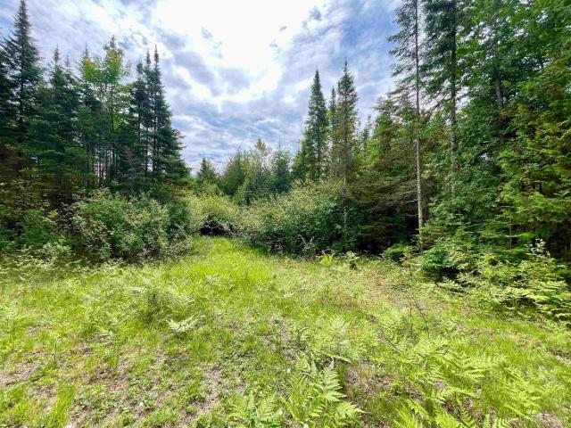 Land for sale in Michigan