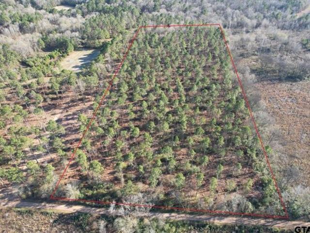 Land for sale in Panola, Texas