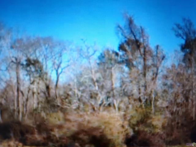 Land for sale in Greenwell Springs, Louisiana