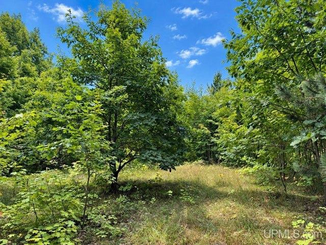 Land for sale in Houghton, Michigan