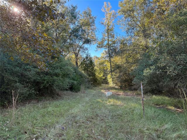 Land for sale in Leon, Texas