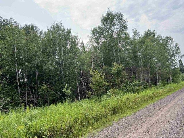 Land for sale in Chassell