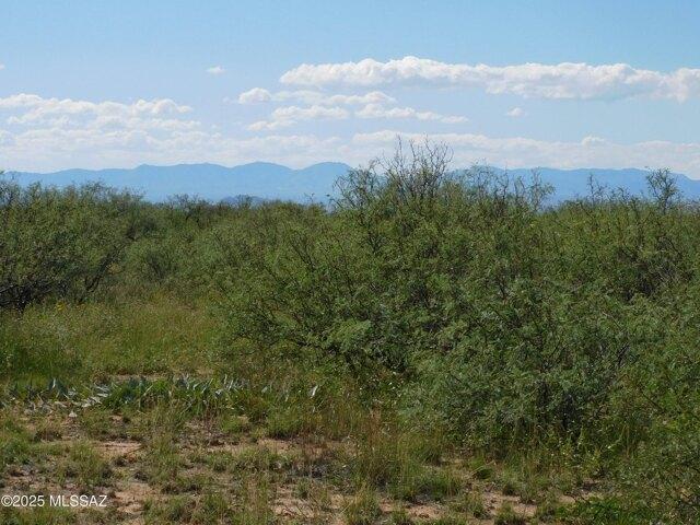 Land for sale in Pearce, Arizona