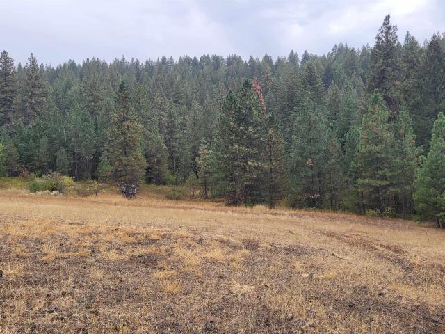 Land for sale in Council, Idaho