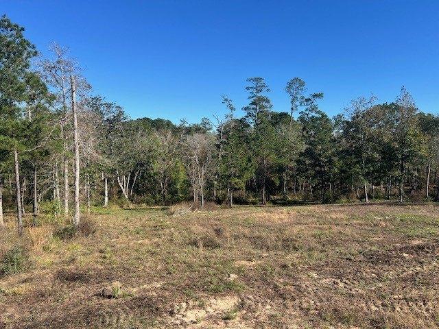 Land for sale in Polk, Texas