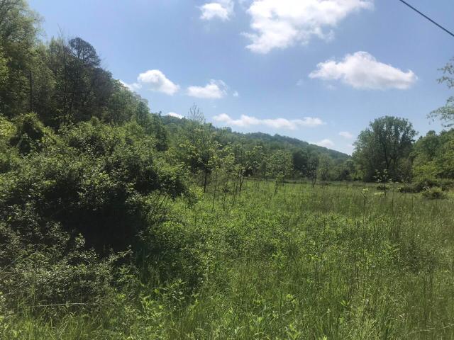 Land for sale in Olive Hill, Carter County