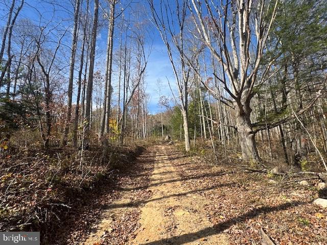 Land for sale in Mill Creek, West Virginia