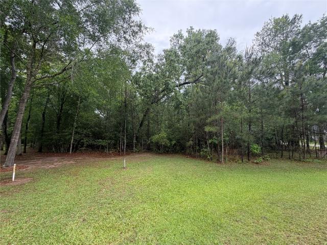 Land for sale in Magnolia, Texas