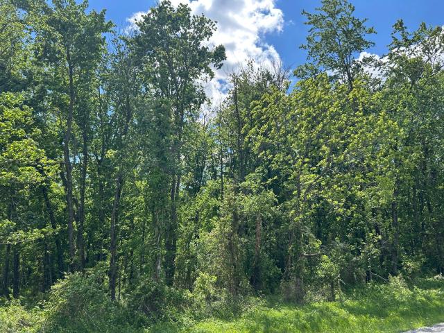 Land for sale in Benton, Illinois