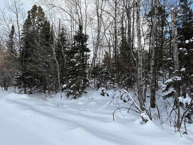 Land for sale in Champion, Michigan