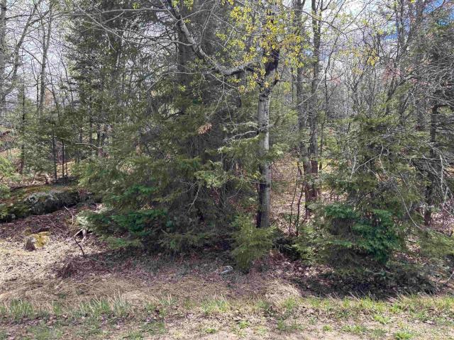 Land for sale in Champion, Champion Township