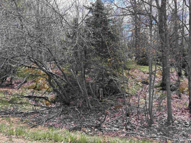 Land for sale in Champion, Michigan
